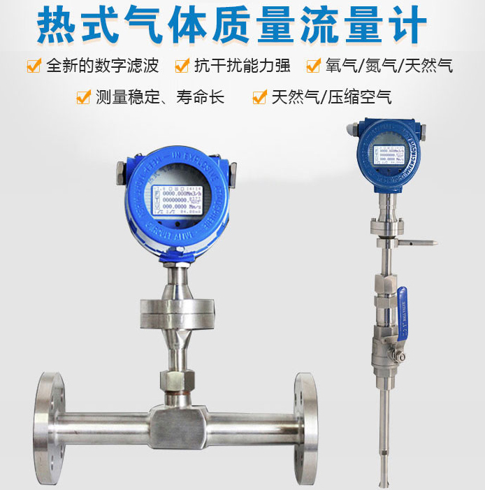 防爆熱式氣體質(zhì)量流量計(jì)產(chǎn)品圖