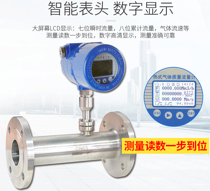 防爆熱式氣體質(zhì)量流量計(jì)液晶表頭顯示圖